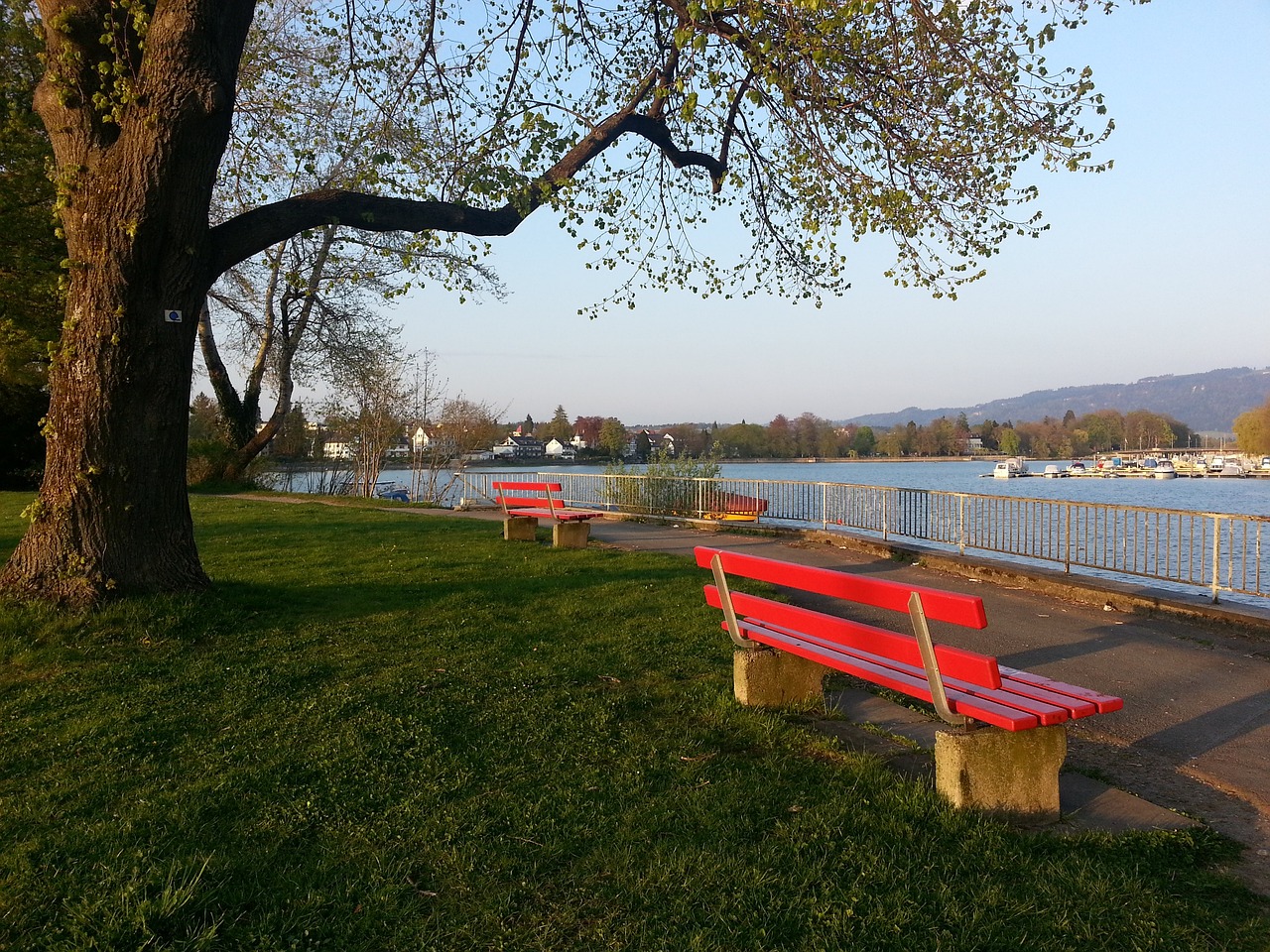 队协作和战 队协作和战