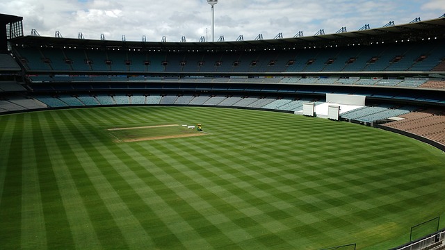 批次化妆品 批次化妆品