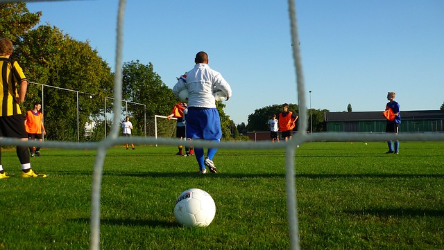 森的得分 森的得分