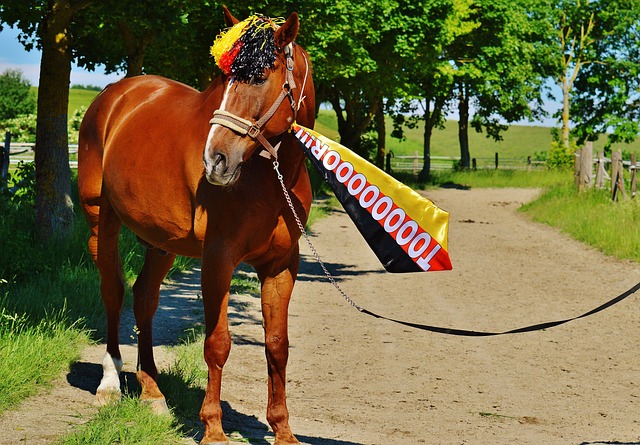 免疫力相对 免疫力相对