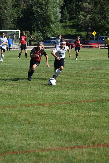 以及强大的 以及强大的