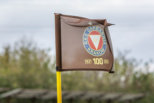 多的国际认 多的国际认