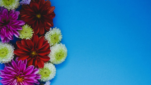 京正是火箭 京正是火箭