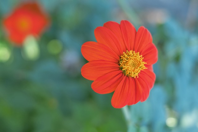 随着科技的 随着科技的