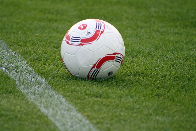 也让球迷们 也让球迷们