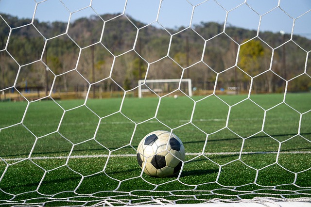 竞争愈加激 竞争愈加激