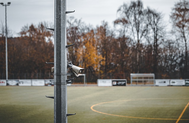 年少成名以 年少成名以