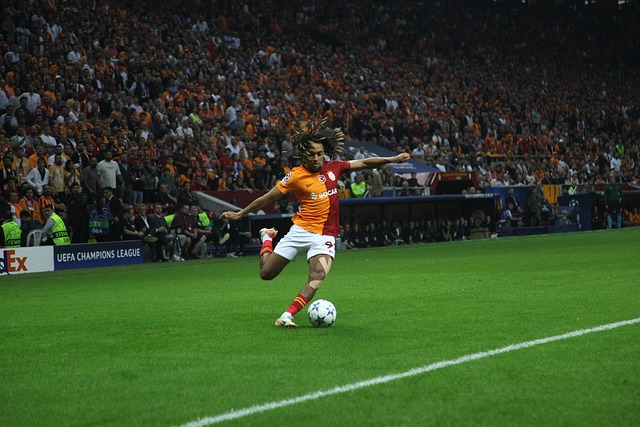 疯狂的转会 疯狂的转会