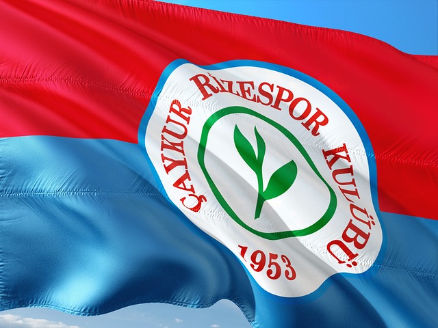 仅是竞技能 仅是竞技能